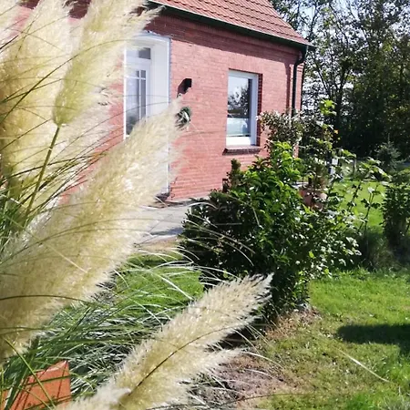 Landhaus Loewenzahn Dornum Exterior photo